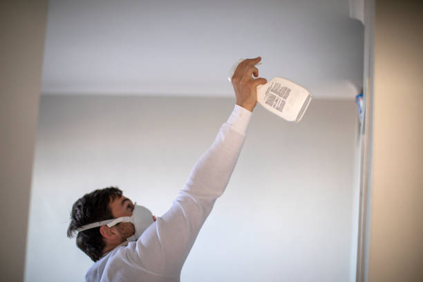 Best Office Mold Removal Services  in Apple Valley, UT